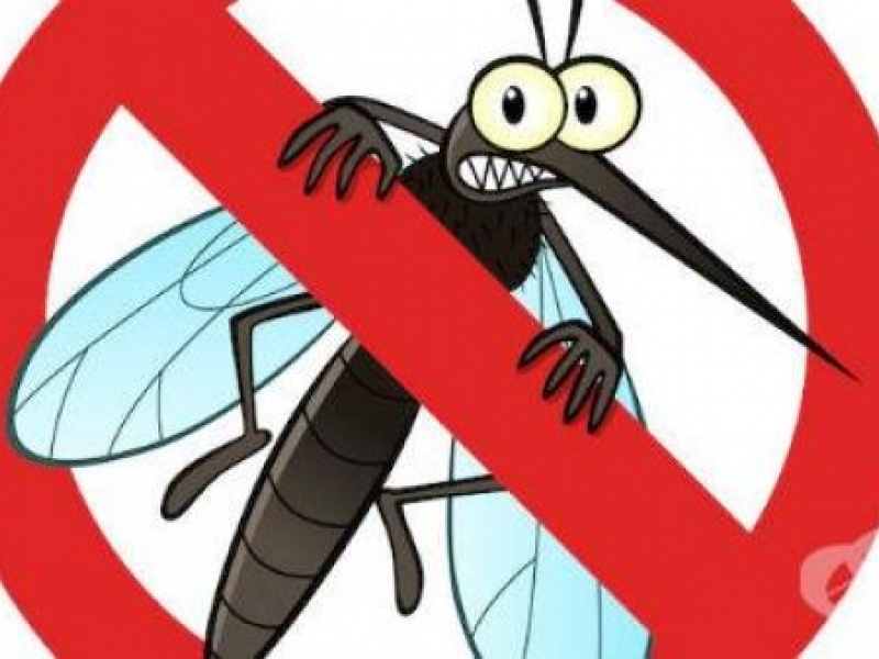 При благоприятни метеорологични условия на 9 юни ще се извърши третиране срещу комари в района на Свищов и Вардим