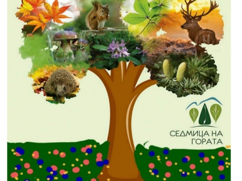 На 1 април екипът на ЦСРИ - Свищов организира засаждане на дръвчета по случай Седмицата на гората