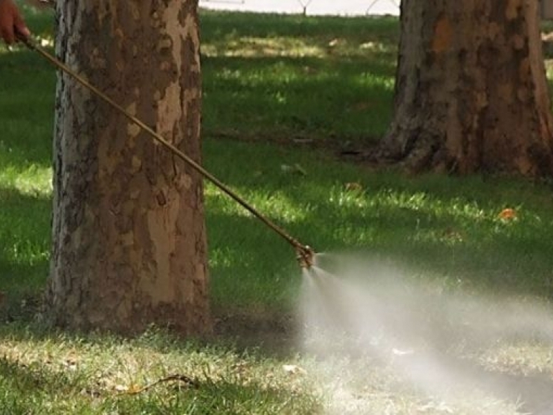 В Свищов започва ежегодното третиране против комари, кърлежи и бълхи 