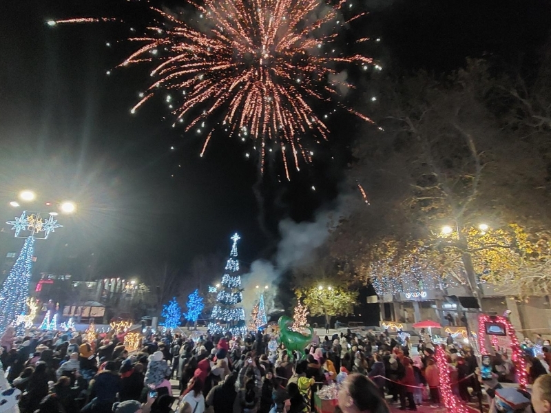 Коледните светлини грейнаха в  Свищов 