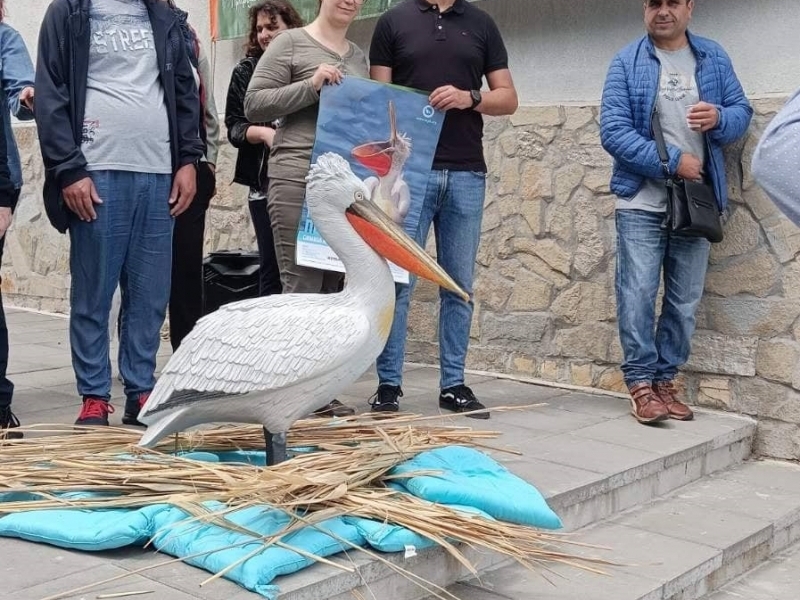 ЦСРИ – гр. Свищов взе участие в третото издание на "Фестивал на къдроглавия пеликан" в Природен парк „Персина“  