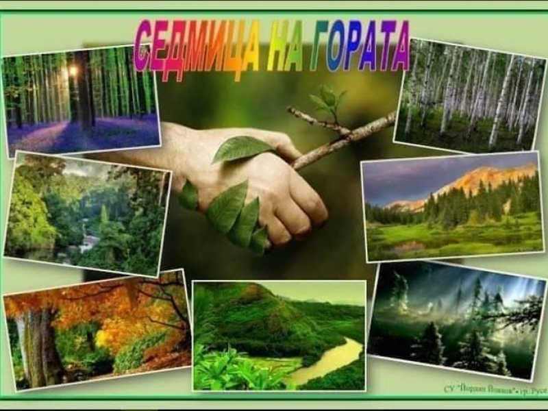 Във връзка с отбелязване на  „Седмица на гората – 2022“ ТП „ДГС – Свищов“ обявява два конкурса за ученици